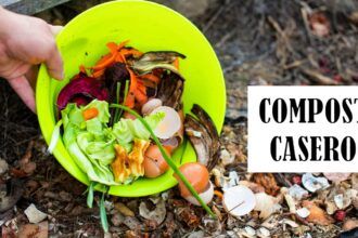 Compost casero. Aprende a hacerlo fácilmente