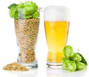 compuestos-cerveza-podrian-servir-nuevos-farm-l-0io8d2