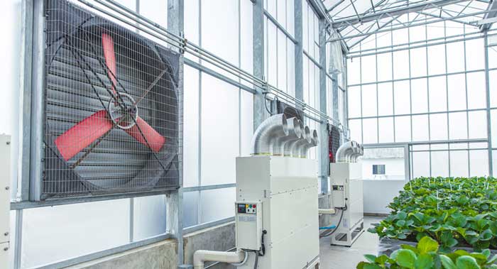La importancia de la temperatura y humedad en el cultivo interior