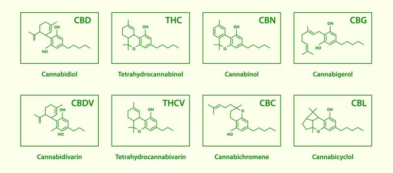 Otros de los muchos cannabinoides en las plantas de marihuana