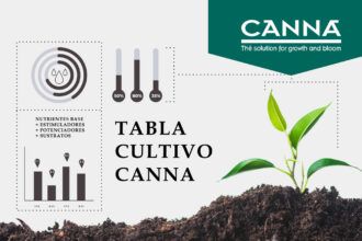 Esquema de cultivo y tabla Canna