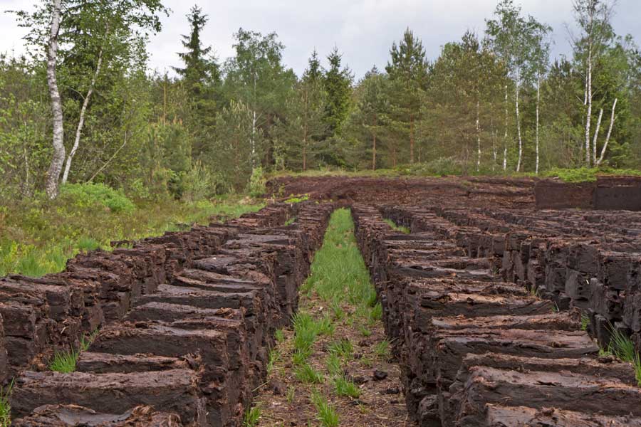 Extracción de turbas y su problema medioambiental