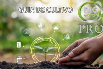 Guía de cultivo Big Nutrients PRO