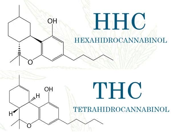 Comparación de molécula de HHC vs THC