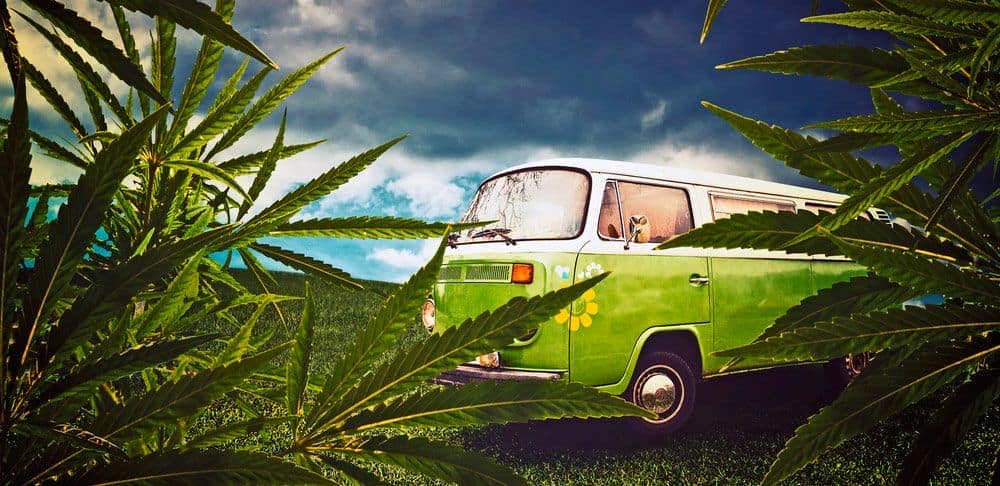 Historia de la marihuiana en los años hippies de los '70 '80 y '90