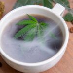 Infusión de marihuana