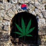 Korea del Sur aprueba la marihuana medicinal