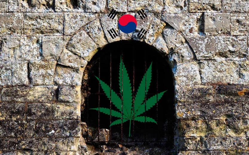 Korea del Sur aprueba la marihuana medicinal