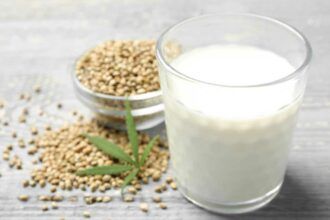 Leche de Cáñamo. Aprende a preparar esta sencilla receta con semillas de cannabis