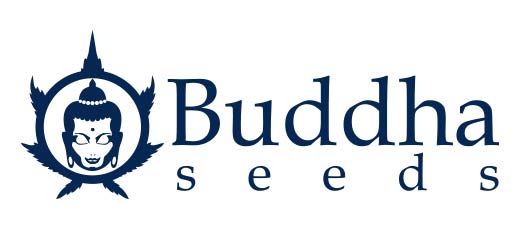 Logo del banco de semillas ESpañol Buddha Seeds