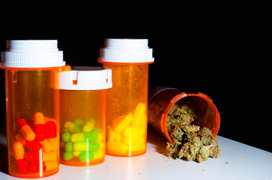 Marijuana and antibiotics