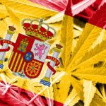 Situación legal de la marihuana en España