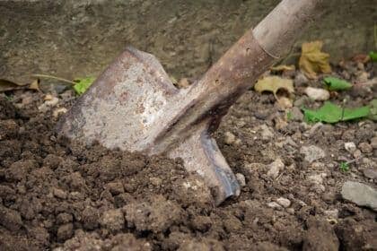 Mejorar la tierra para cultivar en exterior con éxito