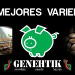 Mejores variedades de Genehtik Seeds