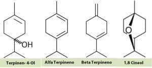 moleculas+en+aceites+del+arbol+del+te