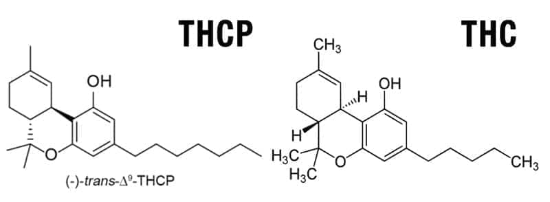 THCP THC particulas
