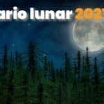 Calendario lunar 2021 aplicado a la marihuana