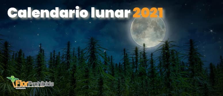 Calendario lunar 2021 aplicado a la marihuana