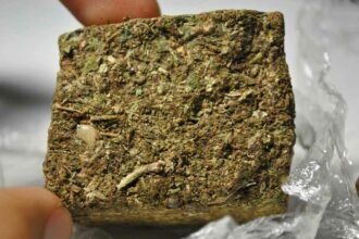 Marihuana prensada o Prensado paraguayo