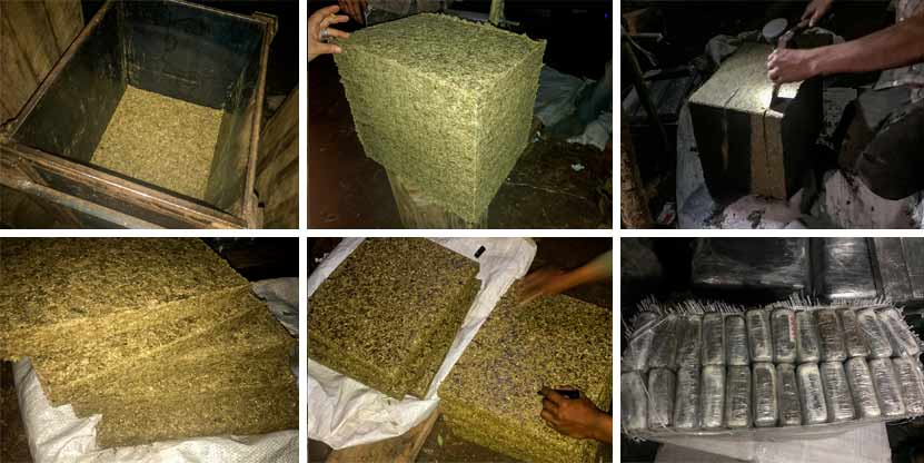 Proceso para hacer la marihuana prensada o prensado paraguayo