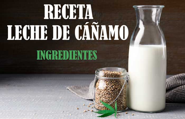 Ingredientes de la Receta de leche de cáñamo