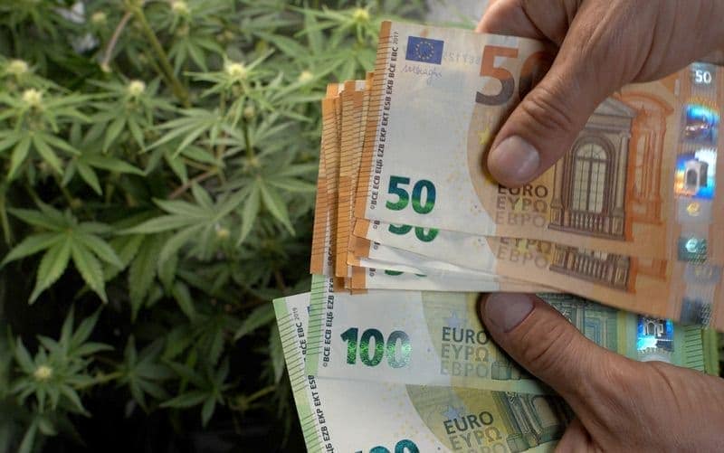 Profitability of a marijuana crop