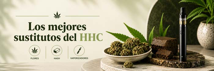 Consigue los mejores sustitutos al HHC