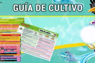 Tabla de cultivo Top Crop. Aprende a usar sus esquemas de cultivo