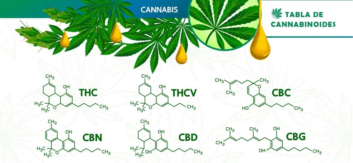 Table of some marijuana cannabinoids and their chemical formulas