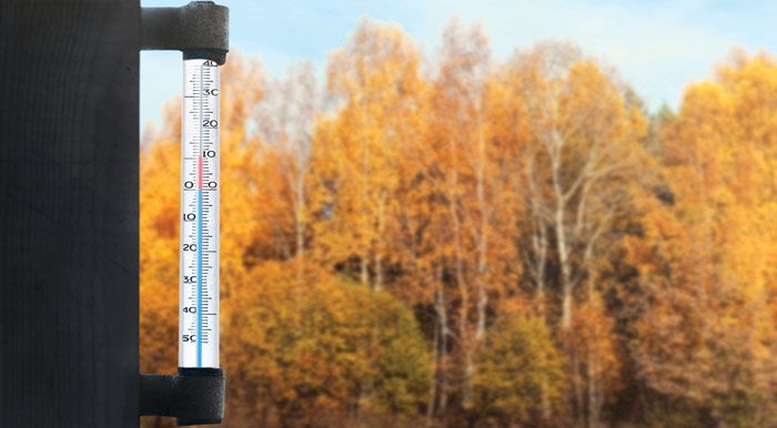 Bajas temperaturas en los cultivos de exterior en invierno