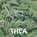 THCA. Fórmula química de sus moléculas