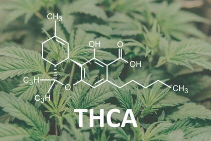 THCA. Fórmula química de sus moléculas