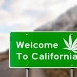 Trabajar en California manicurando marihuana.
