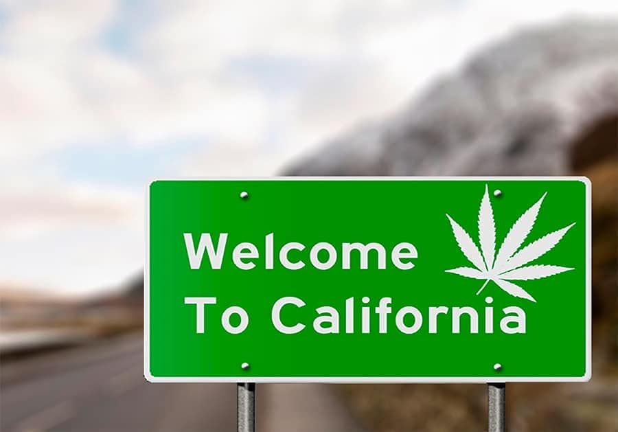 Trabajar en California manicurando marihuana.