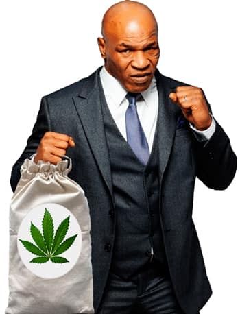 Mike Tyson está grabando una comedia sobre marihuana
