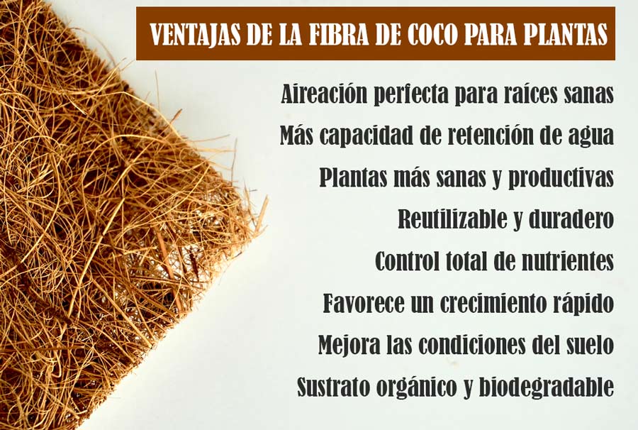 Ventajas de usar la fibra de coco para plantas