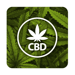 Productos CBD