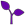 Semillas de Marihuana morada