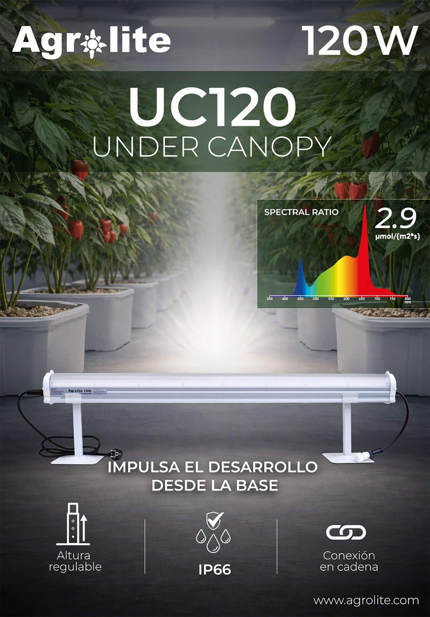 Características LED under canopy 120w Agrolite