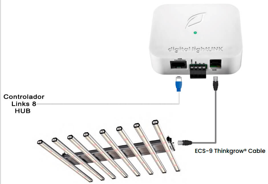 conexiones de Digital LightLink