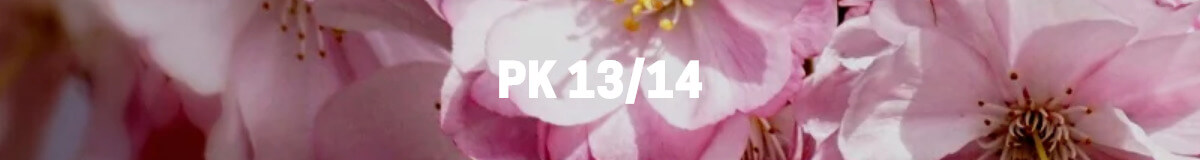 abono pk 13/14 de hesi logo