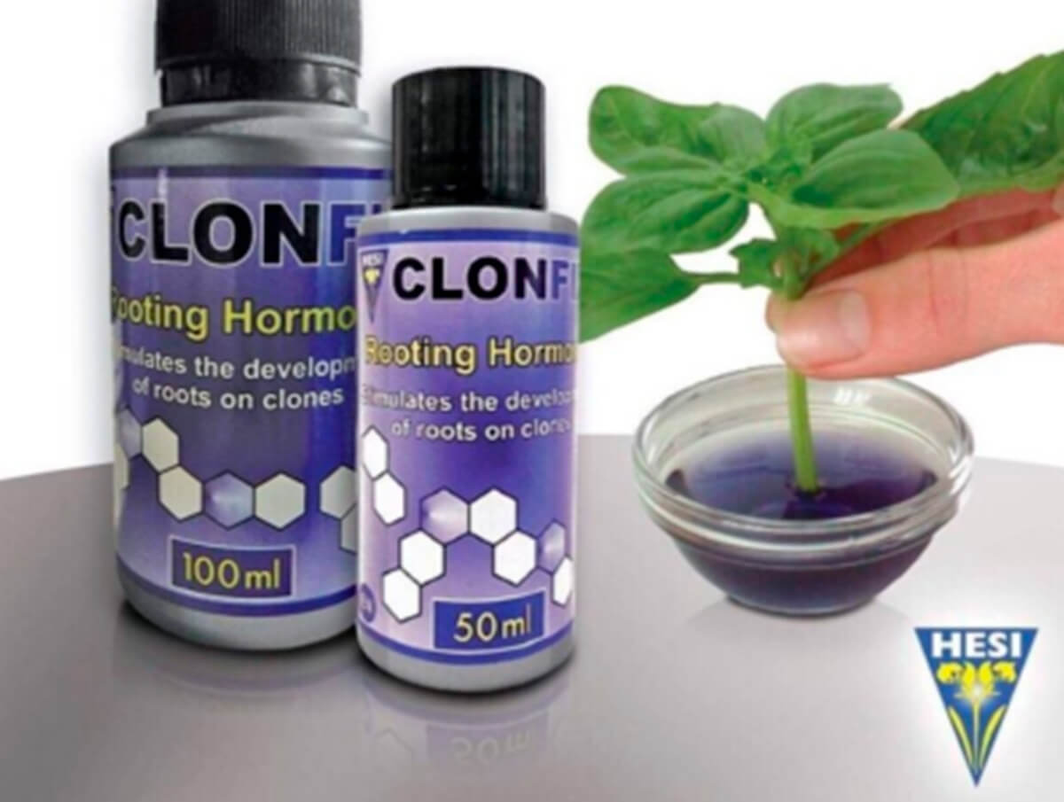 hormonas de enraizamiento ClonFix de Hesi