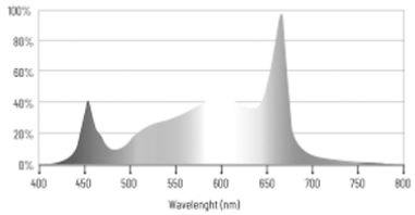 Espectro de Apollo 550w Lumatek