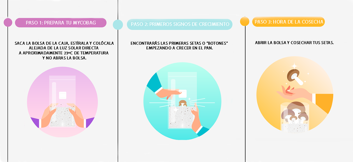 Instrucciones Mycobag