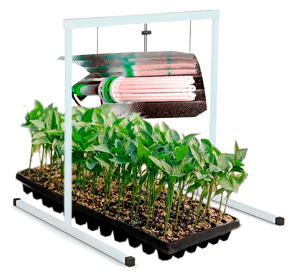 soporte spiderlux con plantas