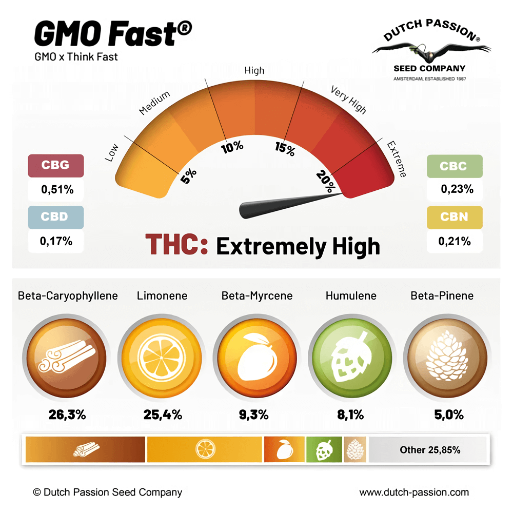 terpenos y cannabinoides de GMO Fast