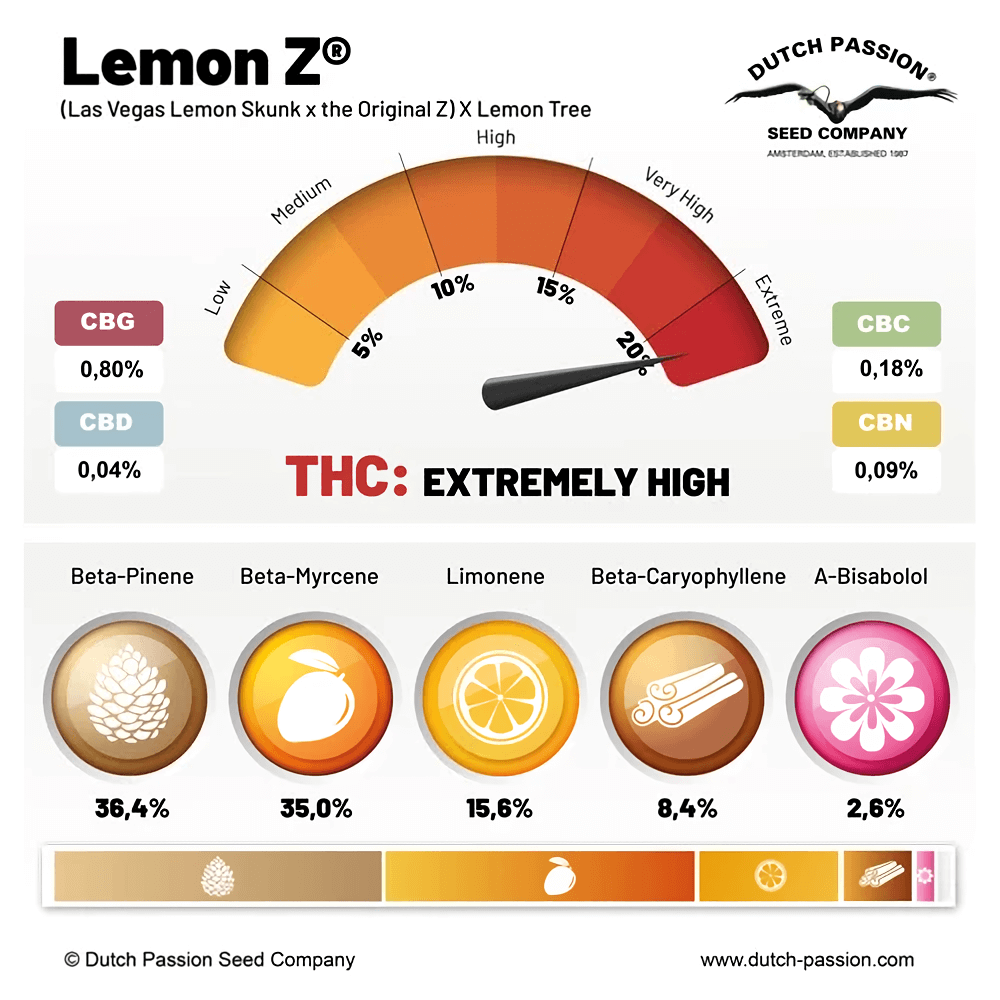 Perfil de terpenos de Lemon Z dutch passion