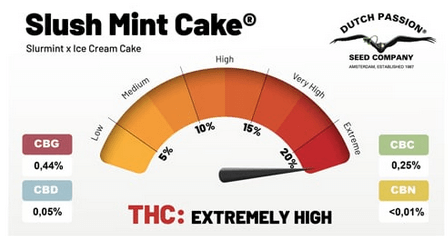 potencia en THC de Slush Mint Cake