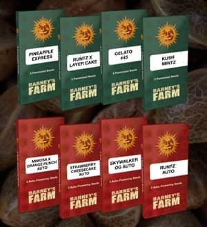 Formatos de paquetes de semillas de Barneys Farm
