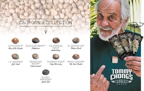 Paradise Seeds California collection by Tommy Chong